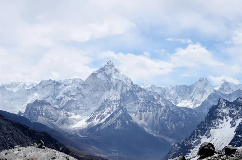 Nature 8